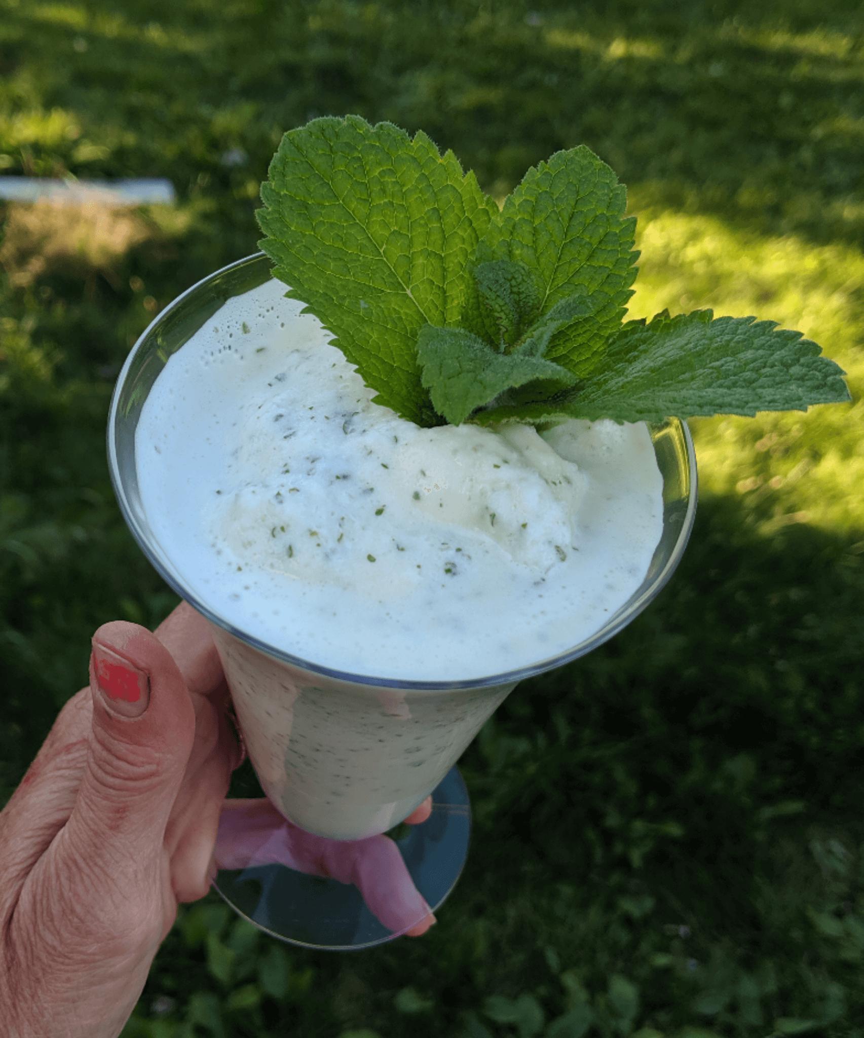 Fresh Mint Milkshakes: Best Made at Home! - vomitingchicken.com