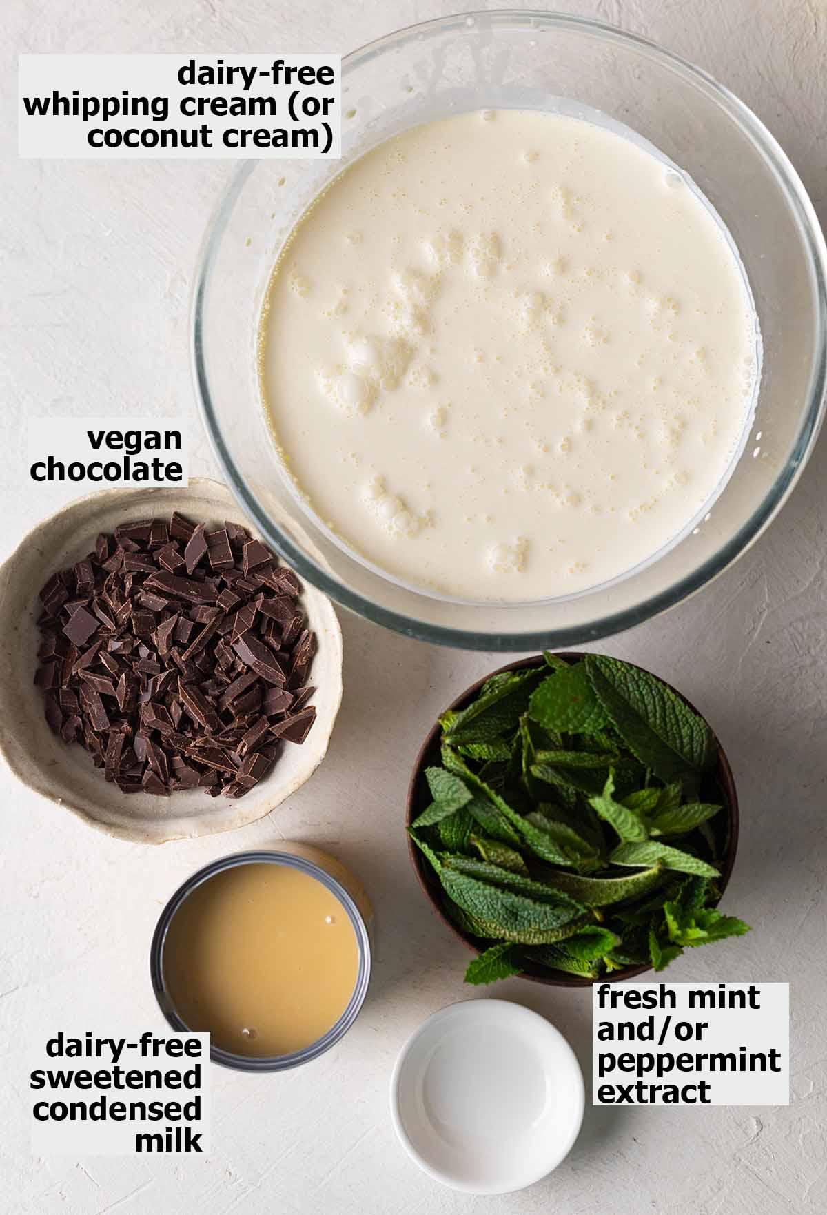 Vegan Mint Chocolate Chip Ice Cream - Rainbow Nourishments